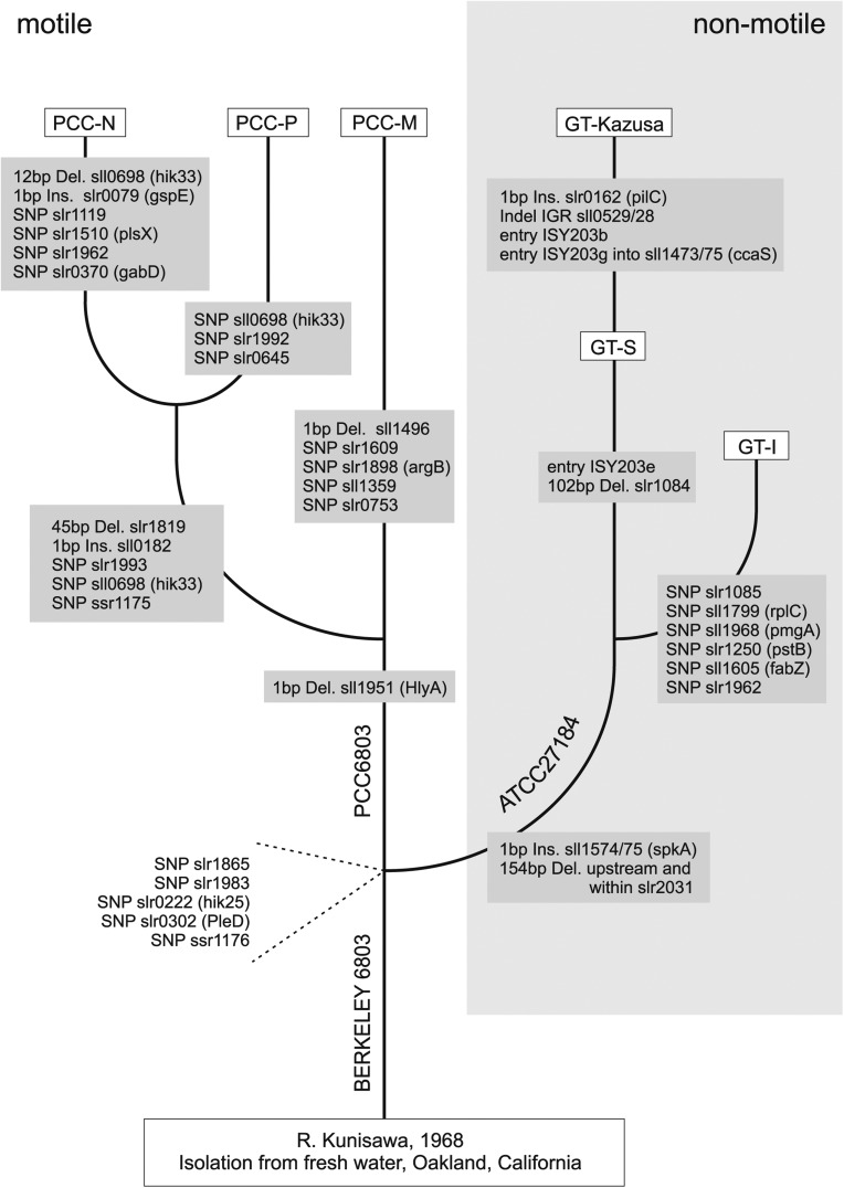 Figure 3.