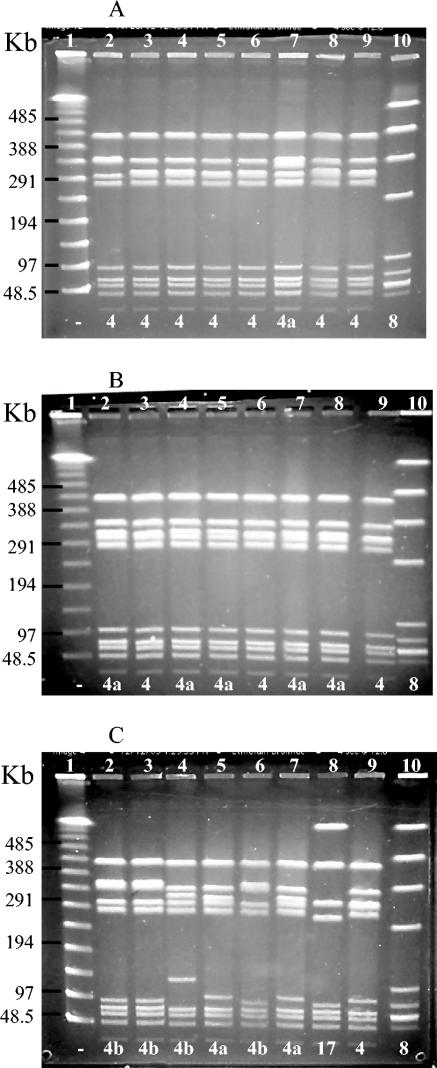 FIG. 2.