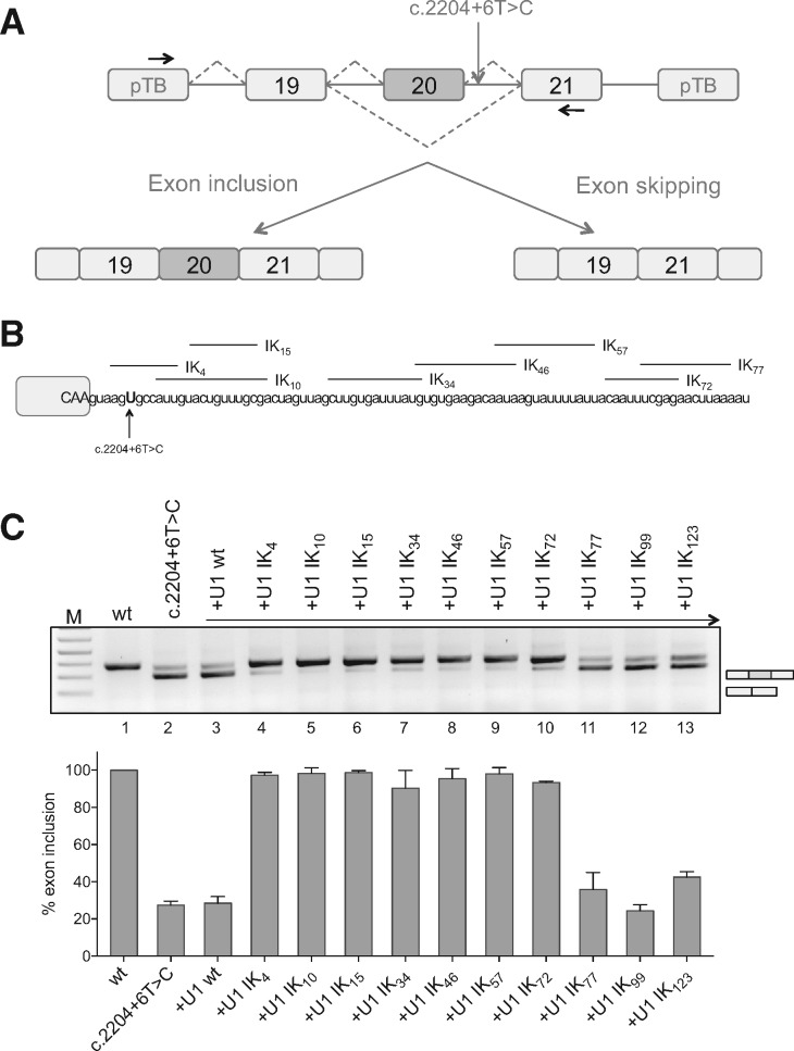 Figure 1.