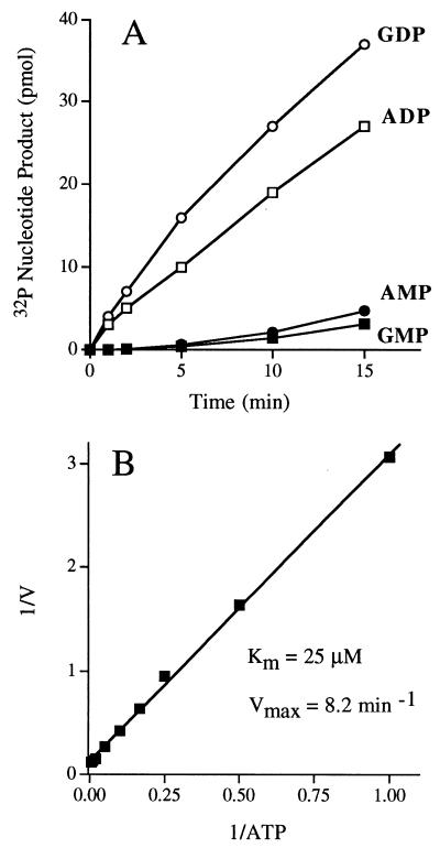 FIG. 7