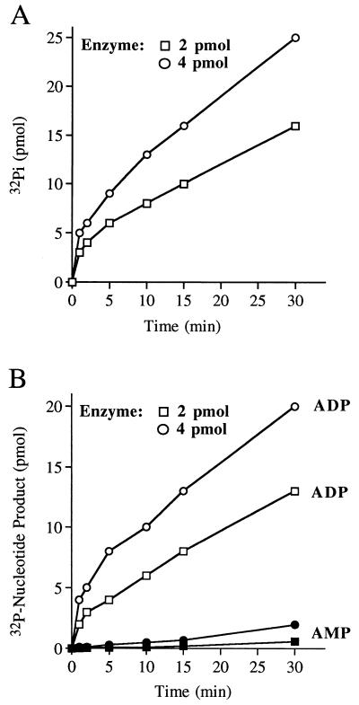 FIG. 6