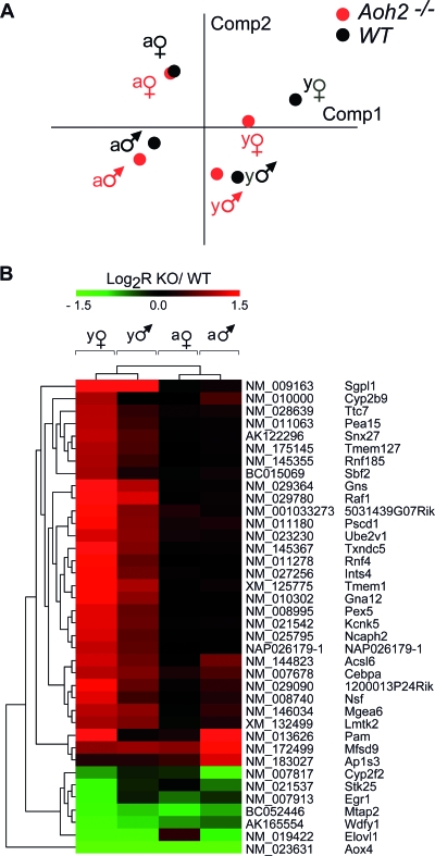 FIG. 6.