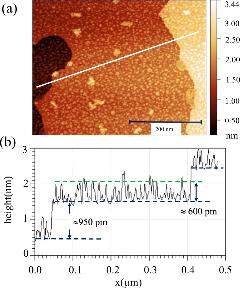 Fig. 2