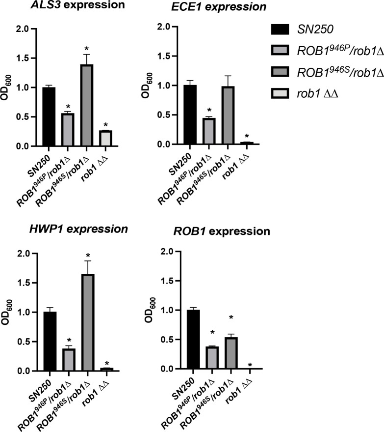 Figure 6.