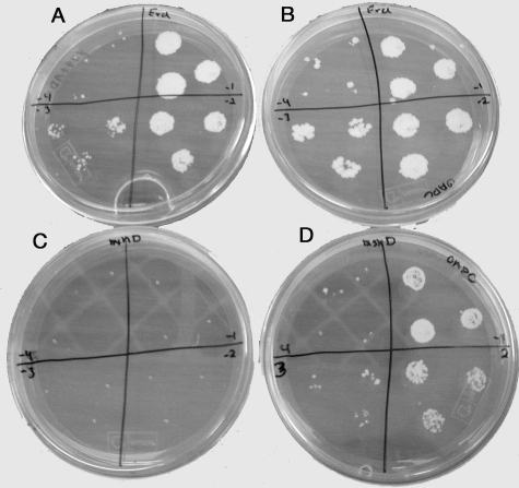 FIG. 4.