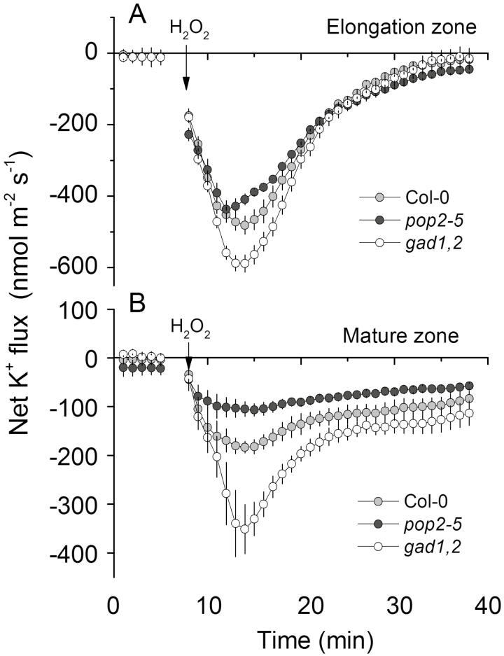 Fig. 8.