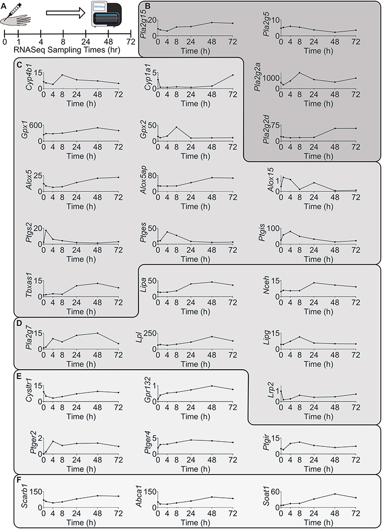 Figure 6: