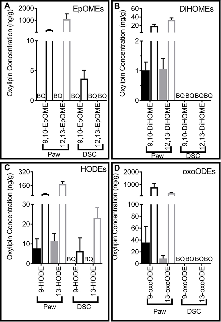 Figure 3: