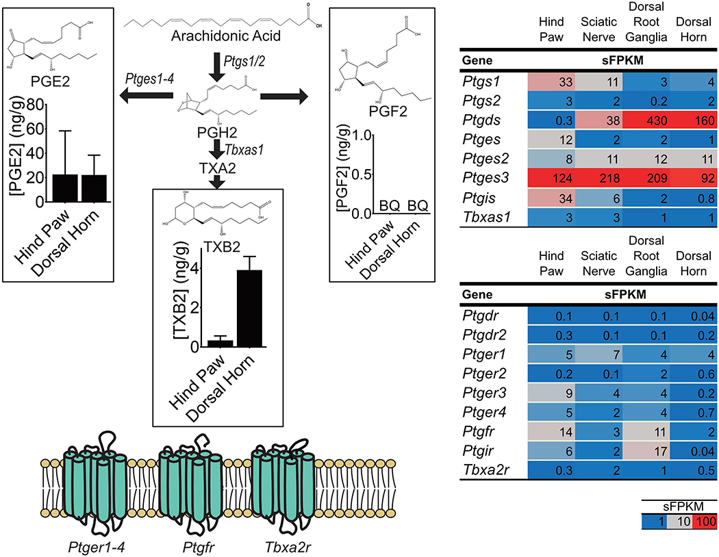 Figure 4: