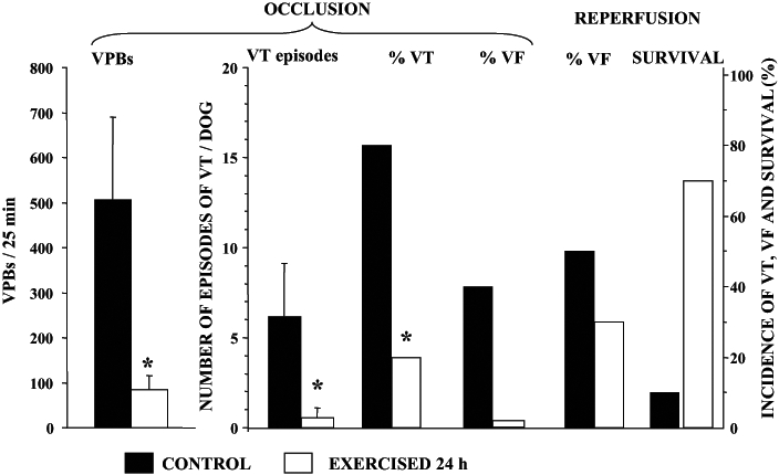 Figure 4)