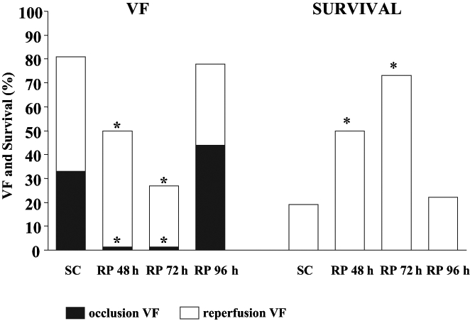 Figure 3)