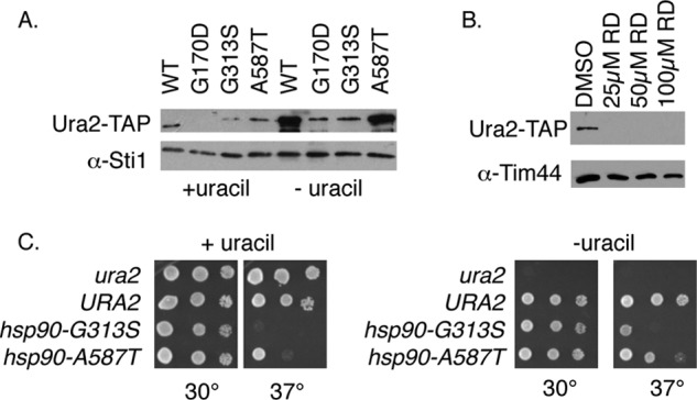 FIGURE 3.