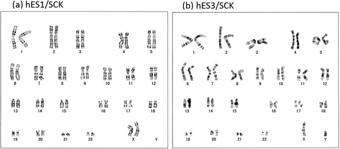 Figure 9.