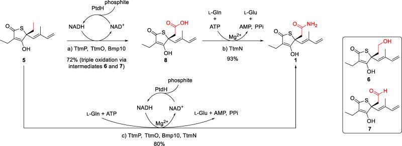 Scheme 1