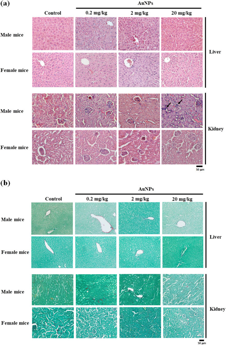 Figure 4