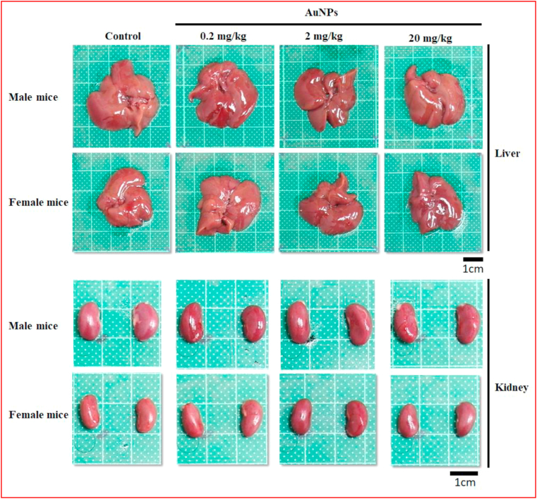 Figure 3