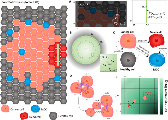 Fig 2