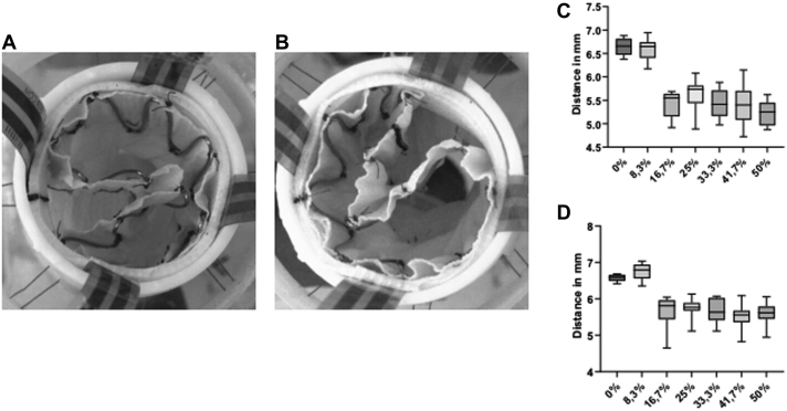 Fig 4