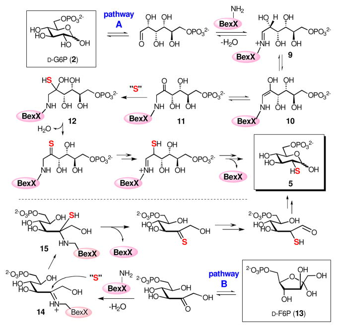 Scheme 3