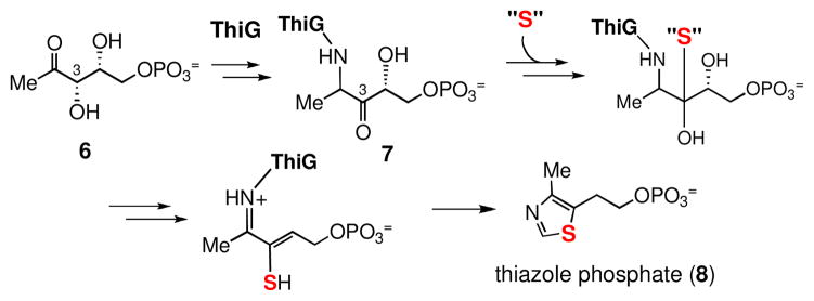 Scheme 2