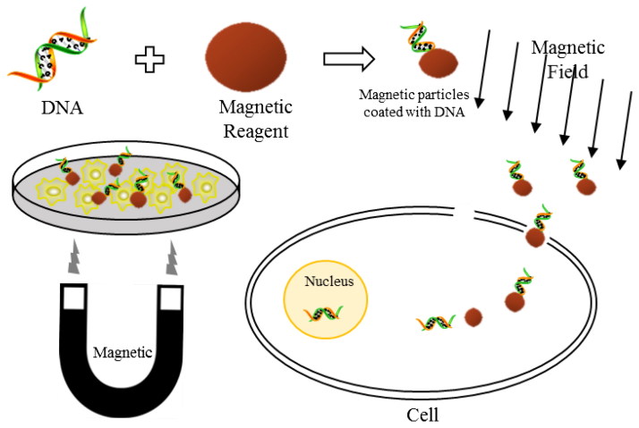 Figure 2.