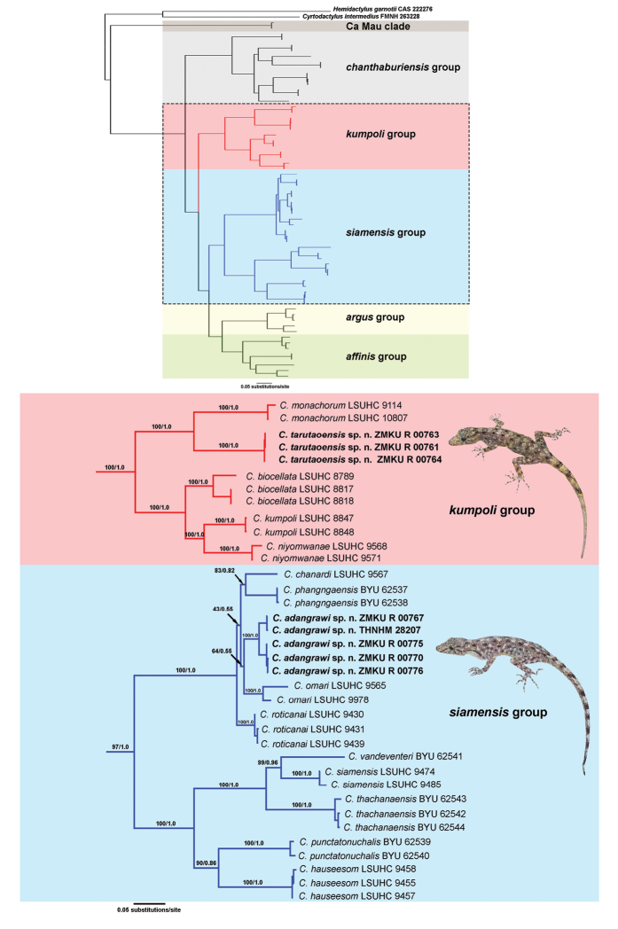 Figure 2.