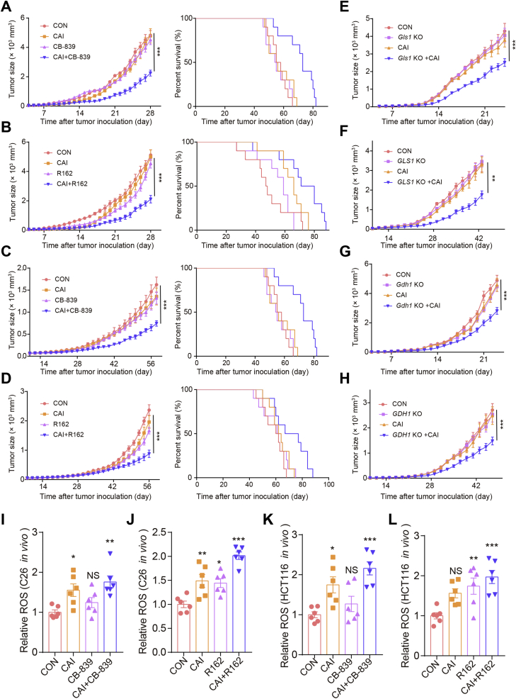 Figure 6