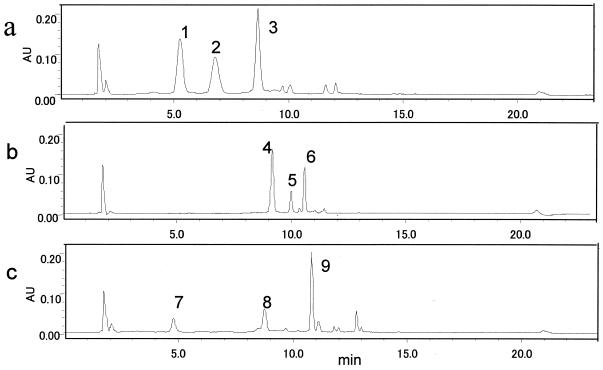 FIG. 2.