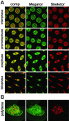 Figure 3.