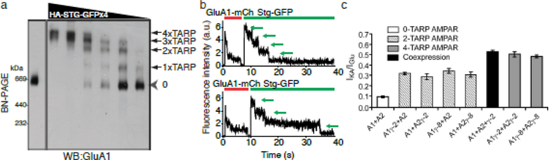 Figure 1: