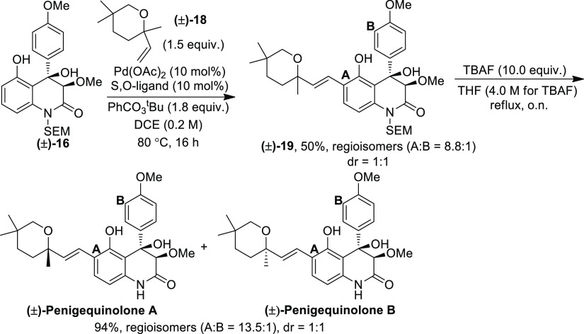 Scheme 6