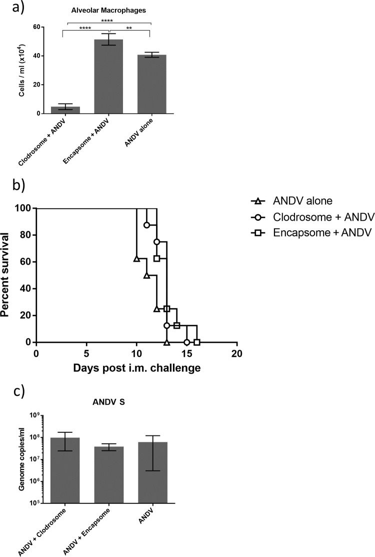 FIG 2