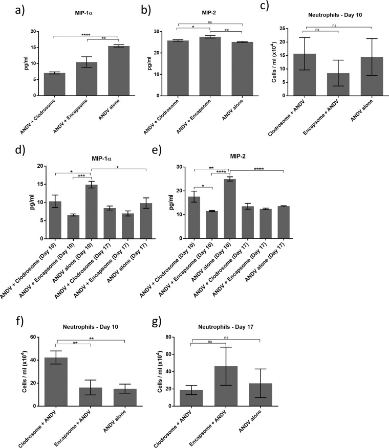 FIG 6