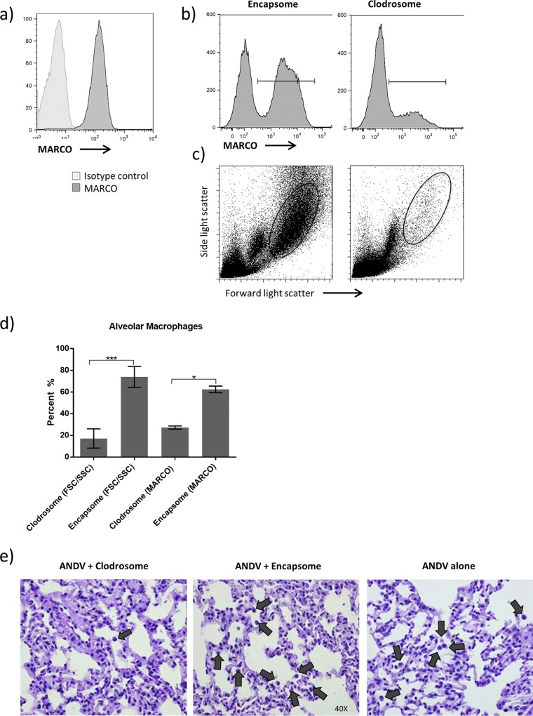 FIG 1