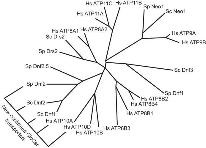 Figure 7.