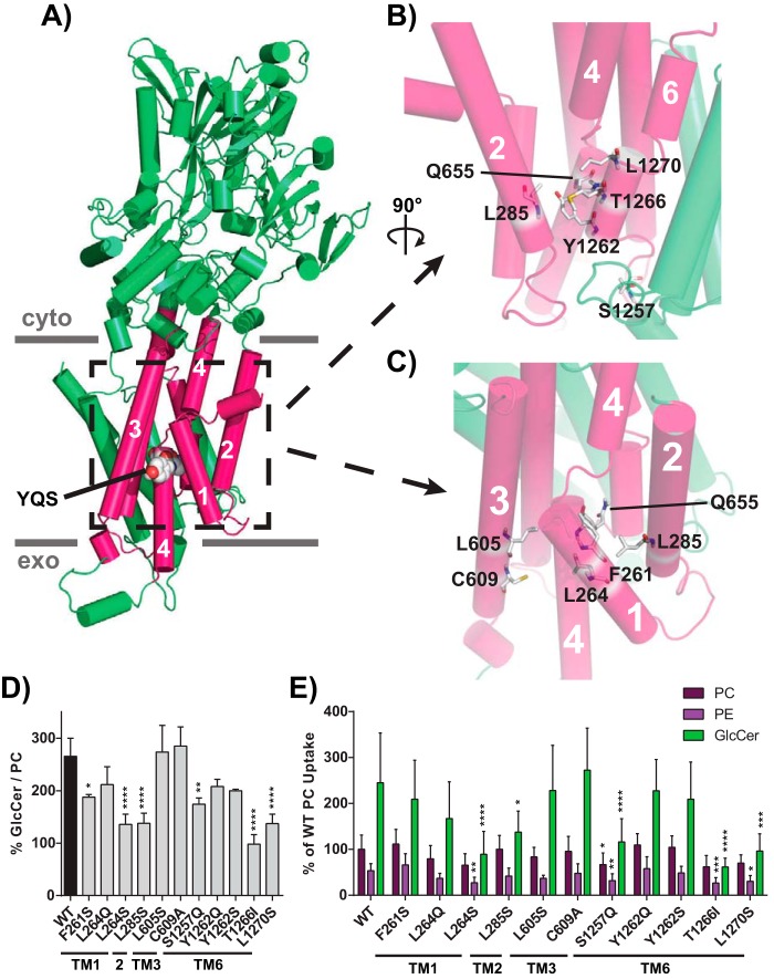 Figure 5.