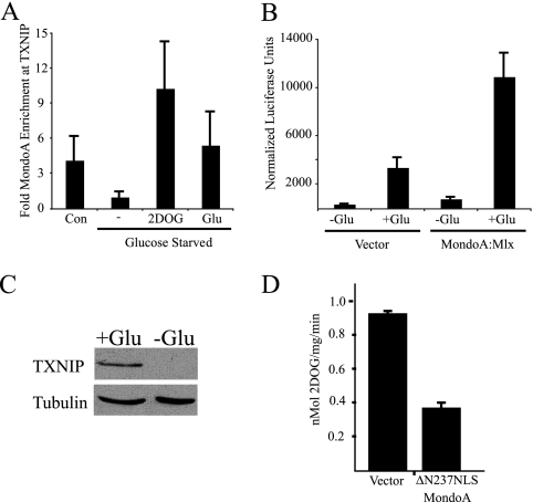 FIG. 1.