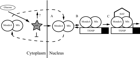 FIG. 7.