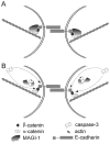 Fig. 9