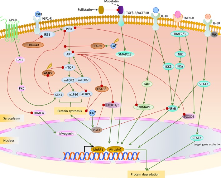 Figure 12