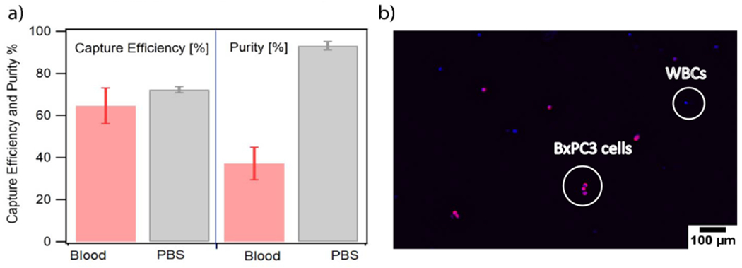 Fig. 9.