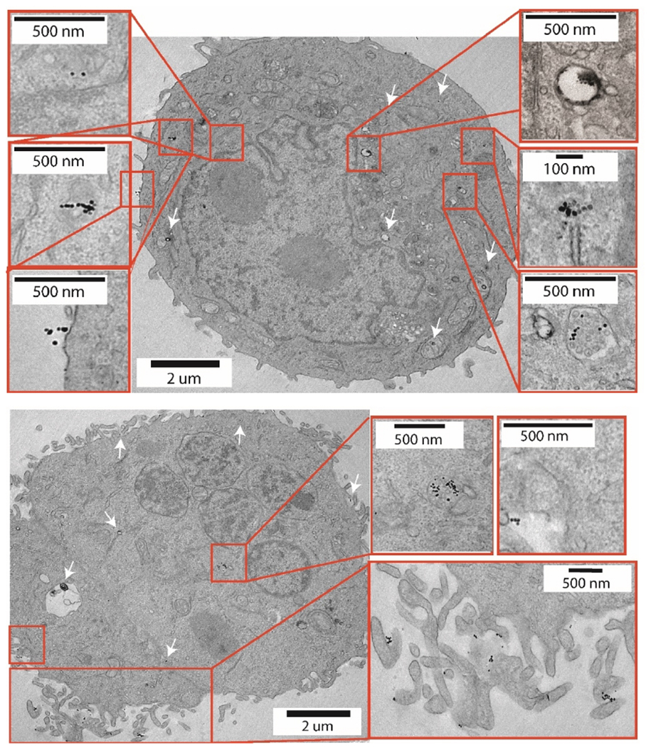 Fig. 6.