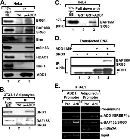 FIG. 4.