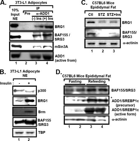 FIG. 8.