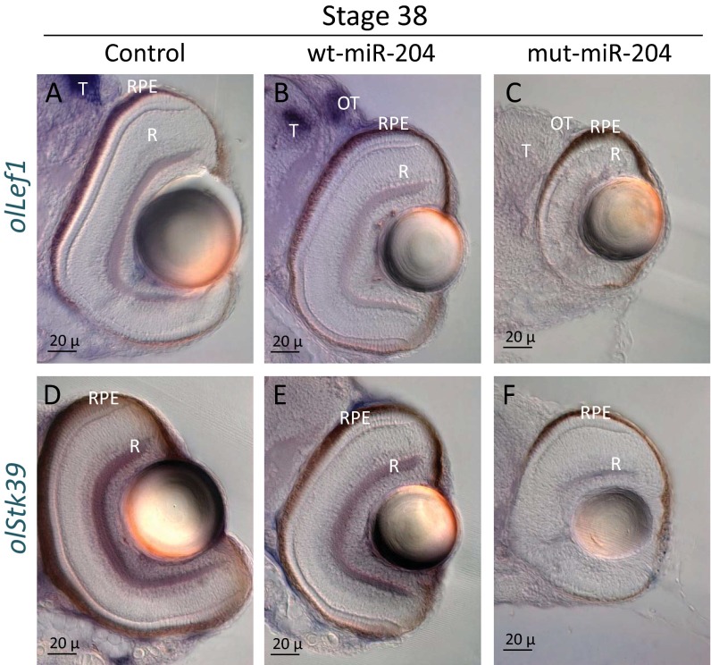 Fig. S4.