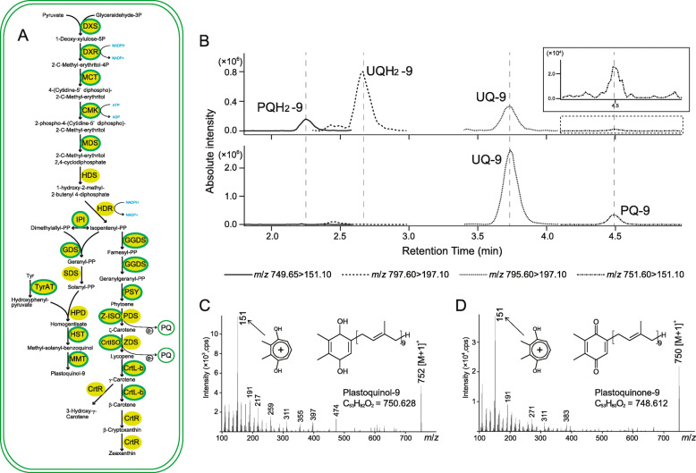 Fig. 3.