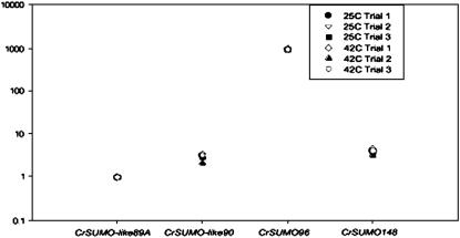 Figure 3.—