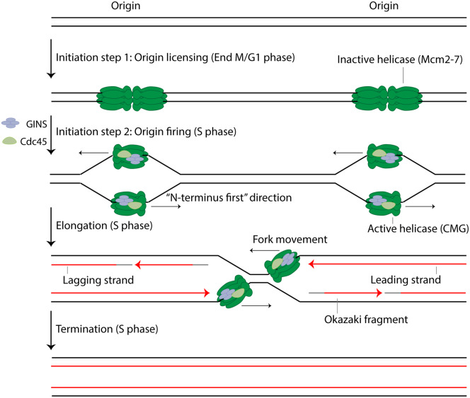 Figure 1.