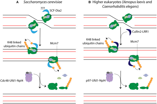 Figure 3.