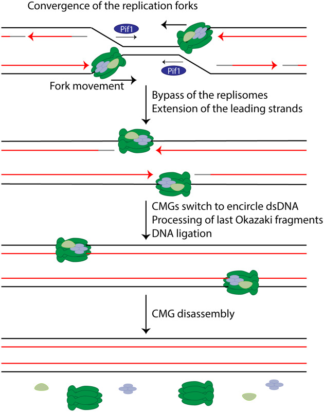 Figure 2.